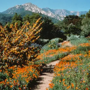 Porter Trail