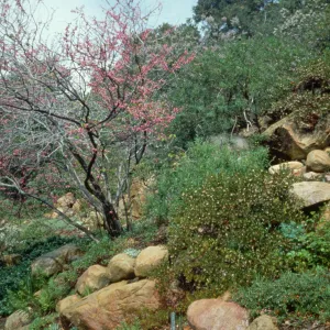 Campbell Trail