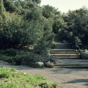 Clara Small Smith steps