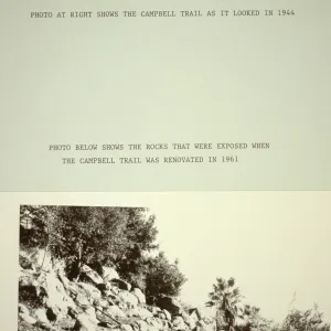 duplicate of SBBG_SL_05816, renovated Campbell Trail 1961