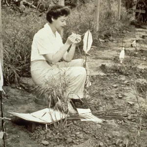 duplicate of PR_01172, Dr. Marta Walters, grass pollination study