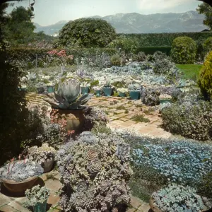 Santa Barbara Gardens of the Past - Osgood Garden (liveforevers)