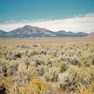 Sagebrush desert, Elko, Nevada