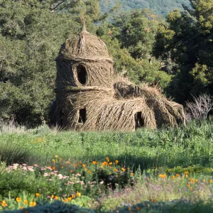 Toad Hall