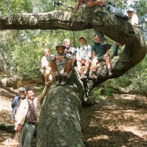 Horticulture Field Trip, SBBG Gardeners, Figueroa Mountain