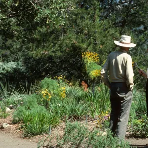 Dara Emery and Nancy Hawver recording â€œA Spring Walkâ€, Porter Trail