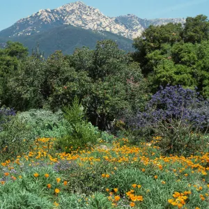 Dara Emery, Porter Trail