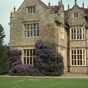 A large bush laden with clusters of tiny, lilac flowers grows next to an stone mansion. 