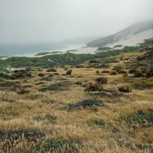 San Miguel Island
