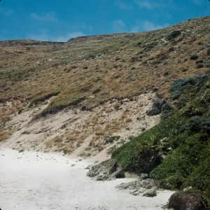 San Miguel Island