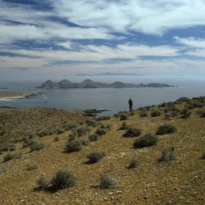 Looking toward East San Benito Island from West San Benito Island