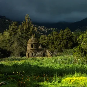 Toad Hall