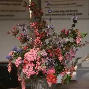 Native Plant Flower Arrangements