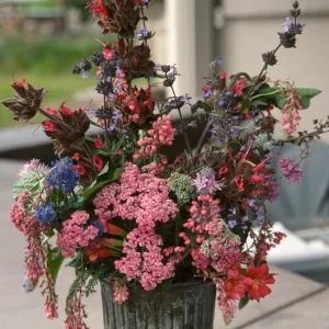 Native Plant Flower Arrangements