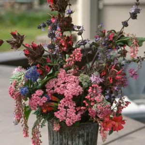 Native Plant Flower Arrangements