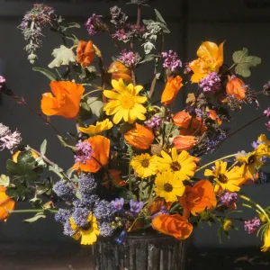 Native Plant Flower Arrangements