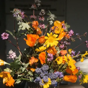 Native Plant Flower Arrangements