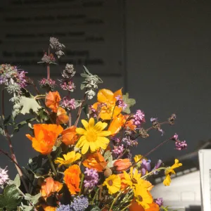 Native Plant Flower Arrangements