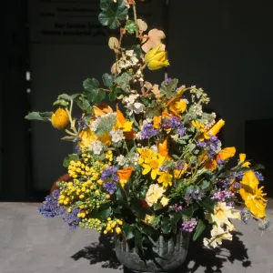 Native Plant Flower Arrangements
