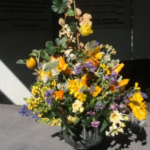 Native Plant Flower Arrangements