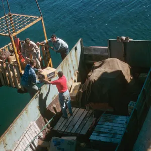 Unloading at Air Force Base, Santa Rosa Island