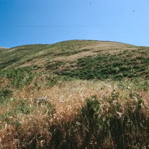 Santa Cruz Island, north side near head to Chinese Harbor