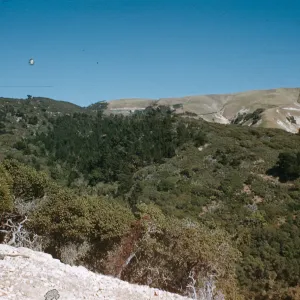 Santa Cruz Island pine and oak forest, Chinese Harbor