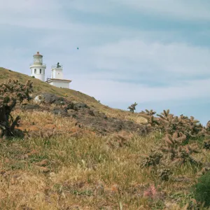 East Anacapa Island, Jumping Cactus, Lighthouse