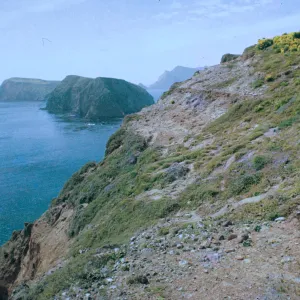East Anacapa Island, South Coast