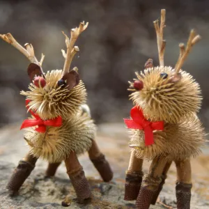 Garden Guild crafts
