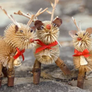 Garden Guild crafts