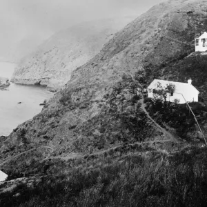 Sheep Camp, Middle Anacapa Isl.