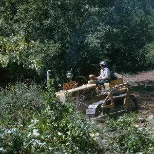 New Island Section Clearing in Progress