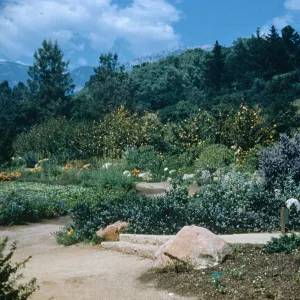 Meadow (Duplicate of SL_21903)