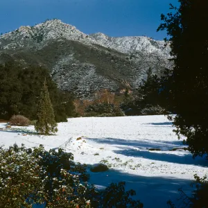 Snow on Meadow