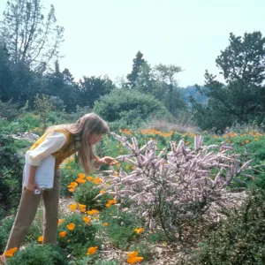 Nature's Gallery slide show