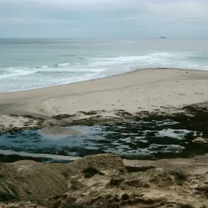 Sandspit, San Nicolas Island