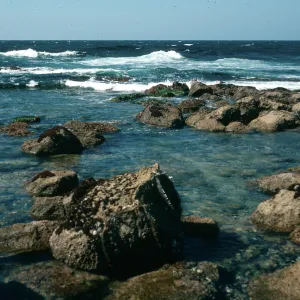 Tidepools, Vizcaino Point, San Nicolas Island