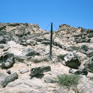 old fenceline, Dutch Harbor, San Nicolas Island