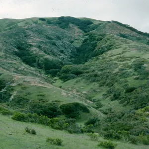 Black Mountain north side, Santa Rosa Island