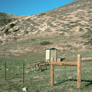 Campgound site, Lower Water Canyon, Santa Rosa Island