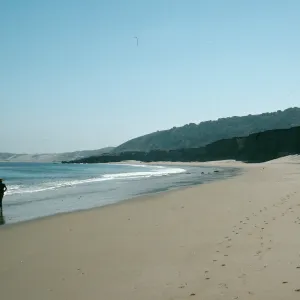 beach, mouth of Water Canyon, Beechers Bay, Santa Rosa Island