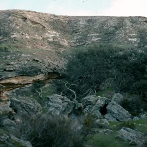 Lobos Canyon, Santa Rosa Island