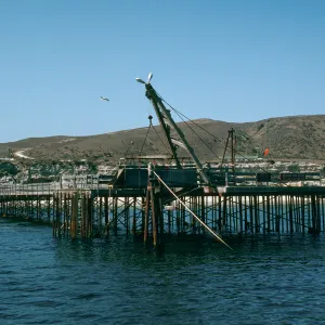 ranch pier, Beechers Bay, Santa Rosa Island