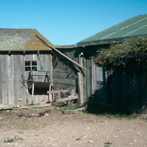 China Camp, Santa Rosa Isl.