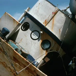 wreck of Pleides, below Orr's Camp, Santa Rosa Isl.