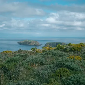 W. Anacapa Island, onshore side, east of Cherry Cyn., looking east