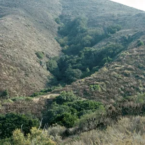 Oak Canyon., W. Anacapa Island
