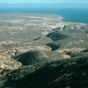Cherry Canyon. Santa Rosa Island
