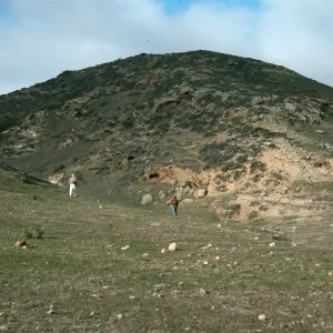 Chapparal, cyn W of Torrey Pines, S. Rosa I.